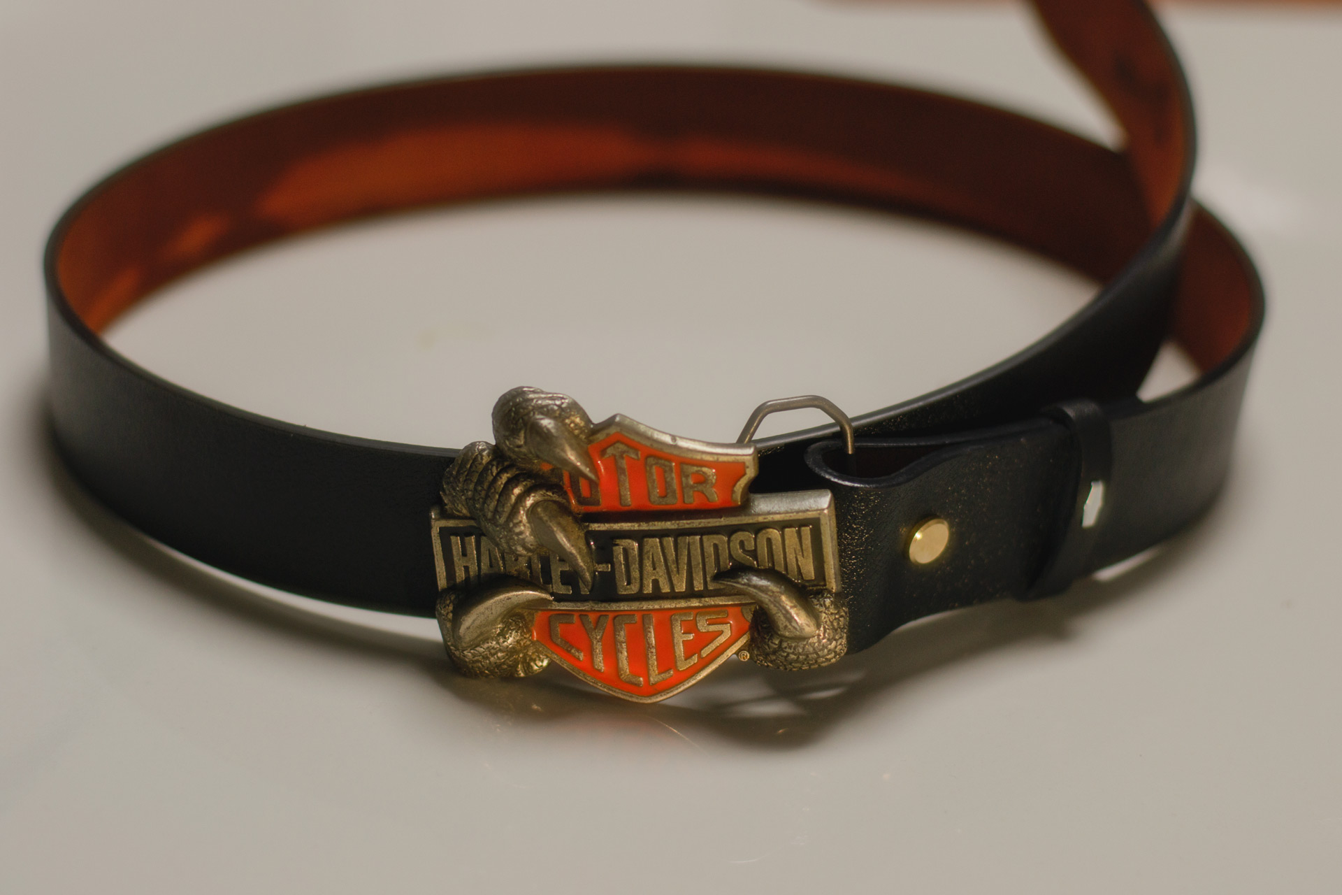 Featured image of post 哈雷孤品